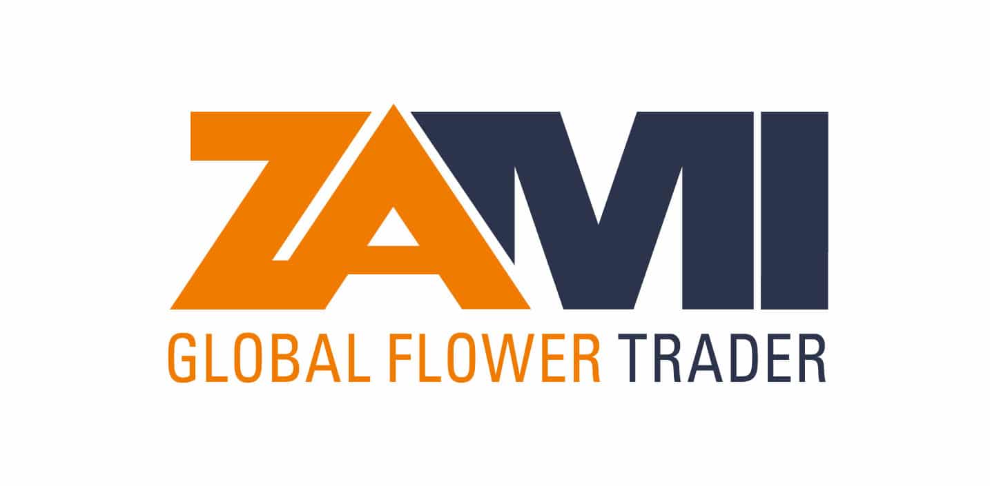 Home - Zami